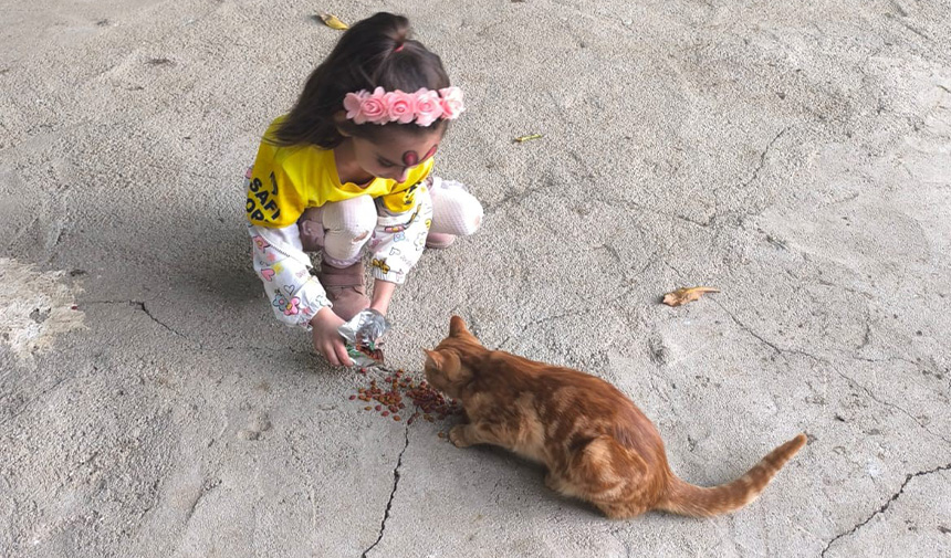 Hayvanları Koruma Günü.jpg9