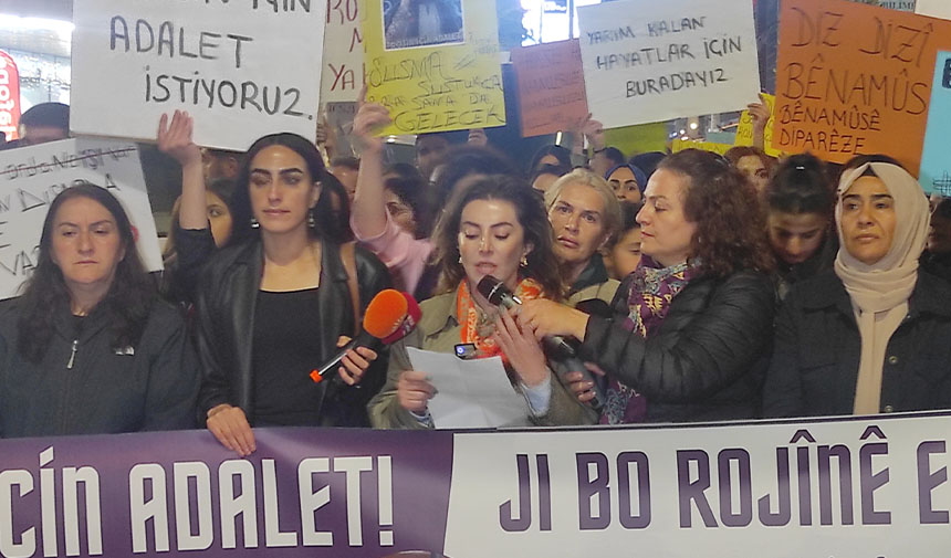 Van Rojin Yürüyüş