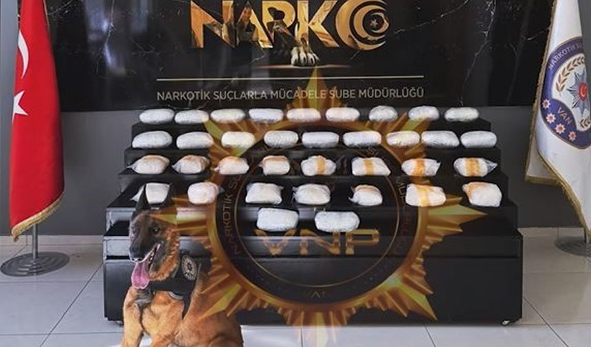 W A D F S E D F G N H M J Ö