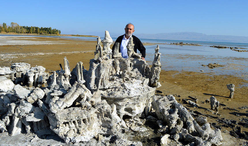 W A F E S G R T H G Y