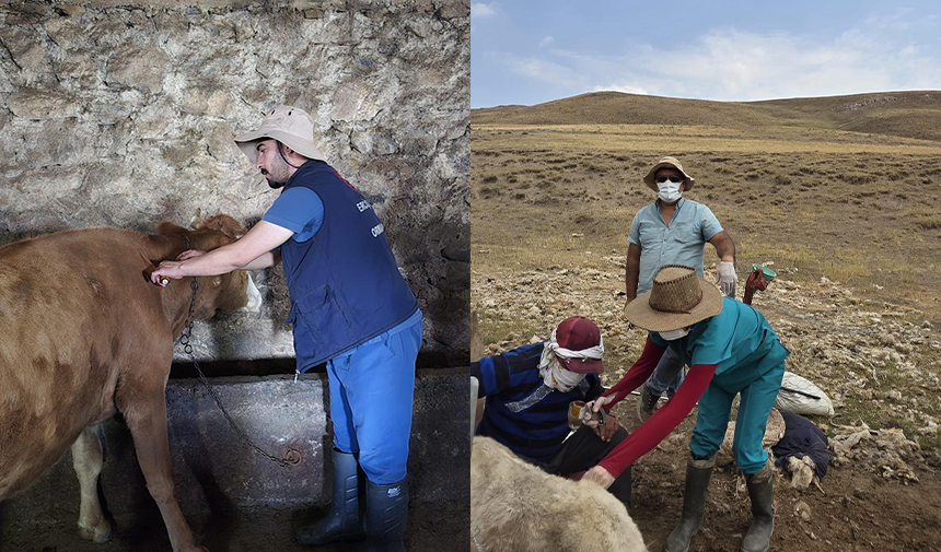 W D A F E S G R D H T F J G Y K H U J-2