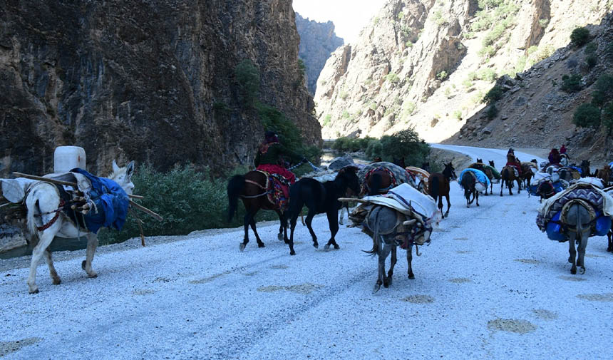 W D F E S G R D H T F J G Y H K J K L