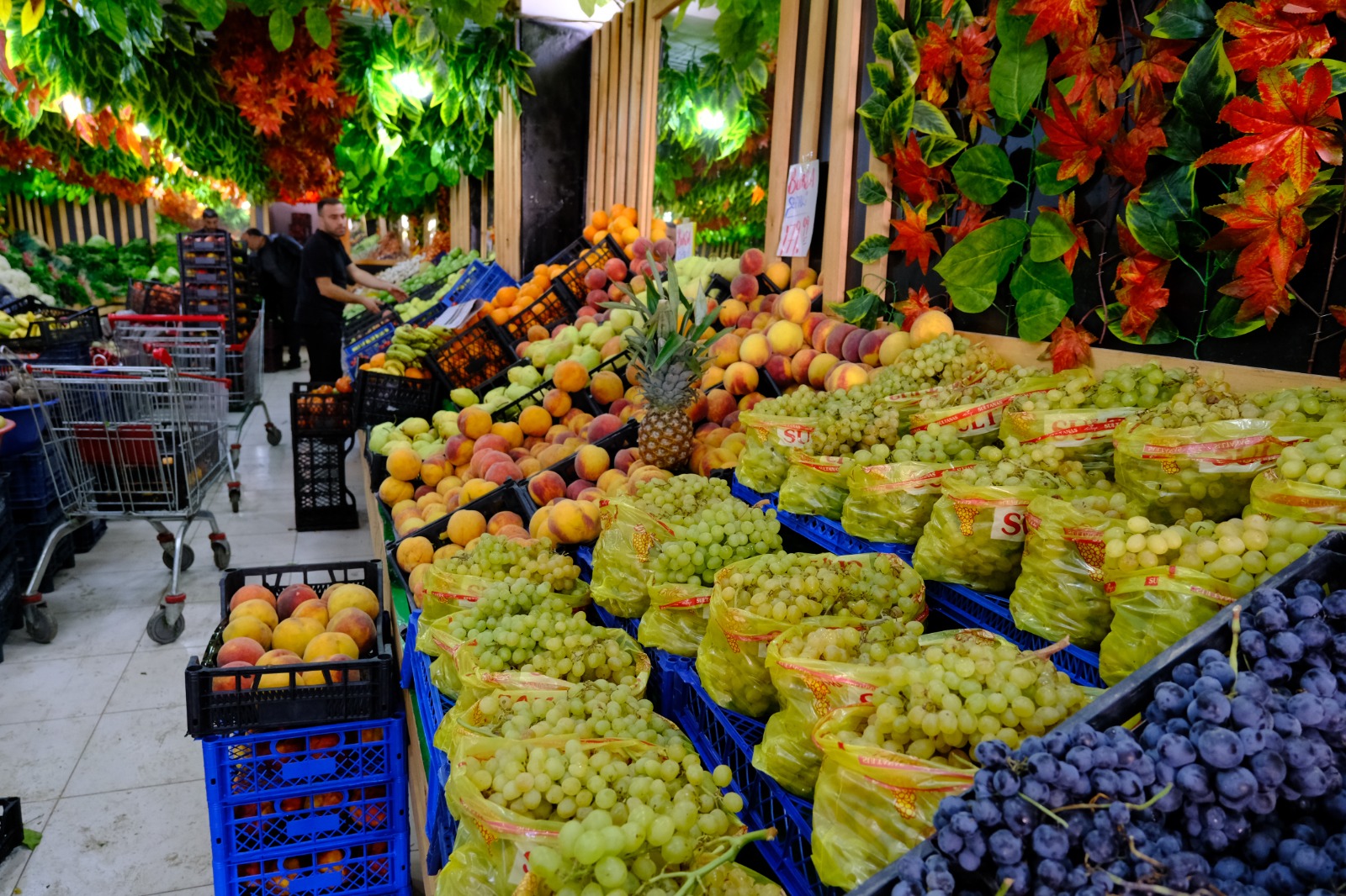 Whatsapp Image 2025 10 14 At 13.38.37 (1)