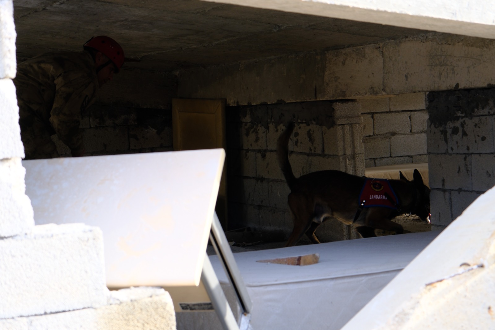 Whatsapp Image 2025 10 23 At 16.16.22 (2)