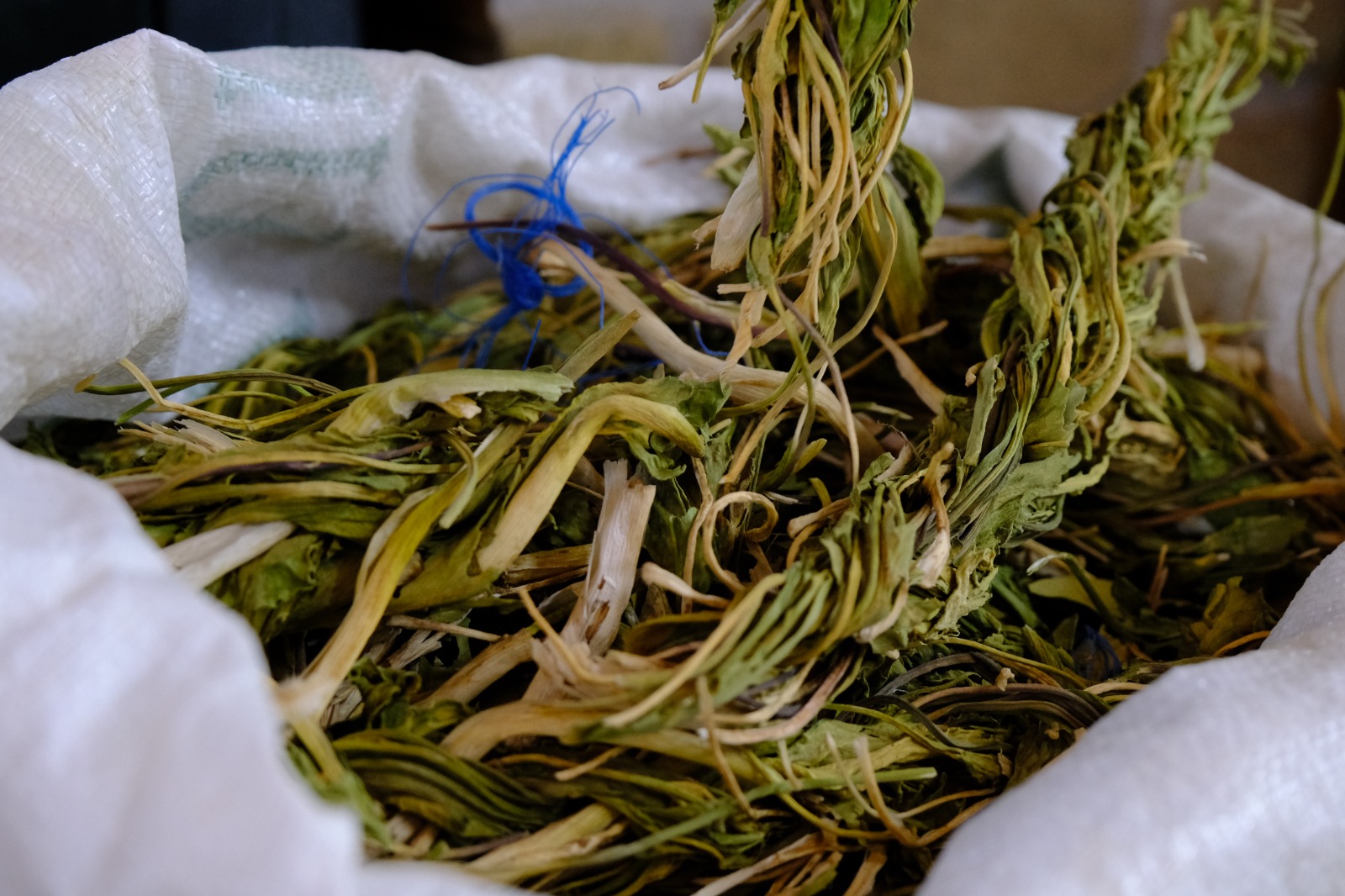 Whatsapp Image 2025 10 31 At 15.25.35