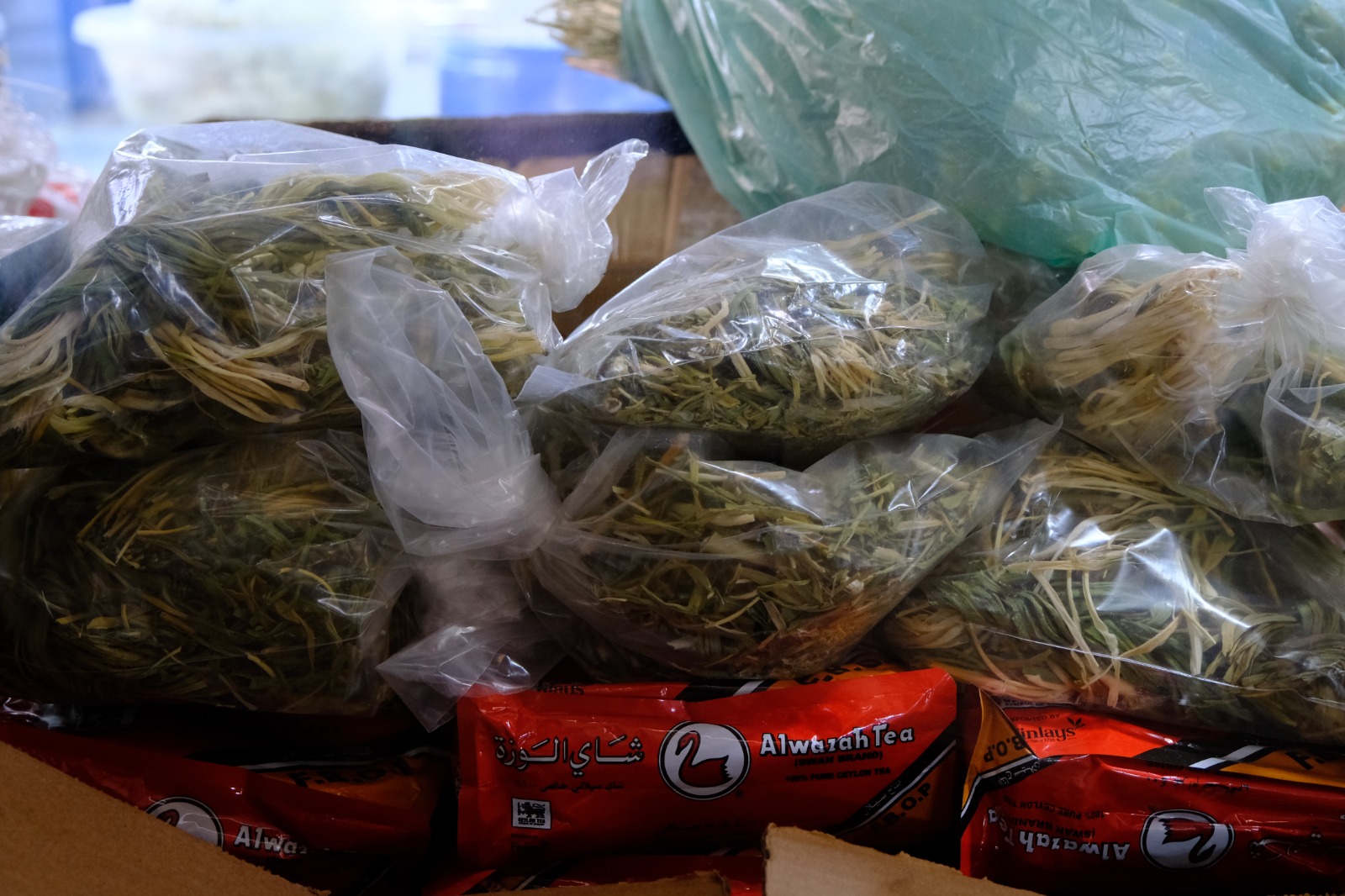 Whatsapp Image 2025 10 31 At 15.25.36