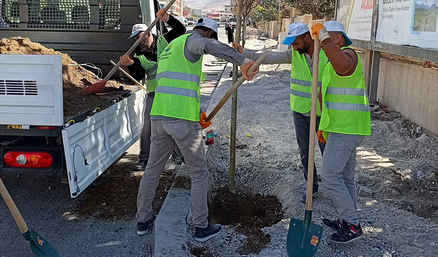 Yeşillendirme Çalışması.jpg2