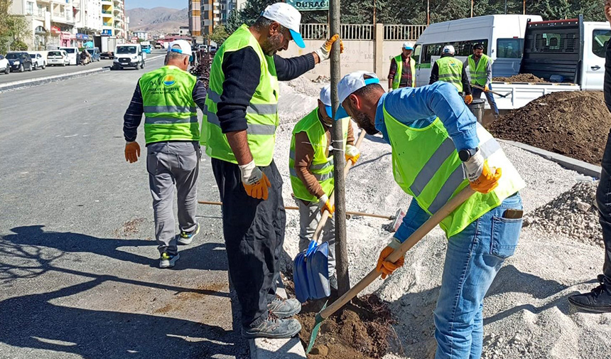 Yeşillendirme Çalışması.jpg8