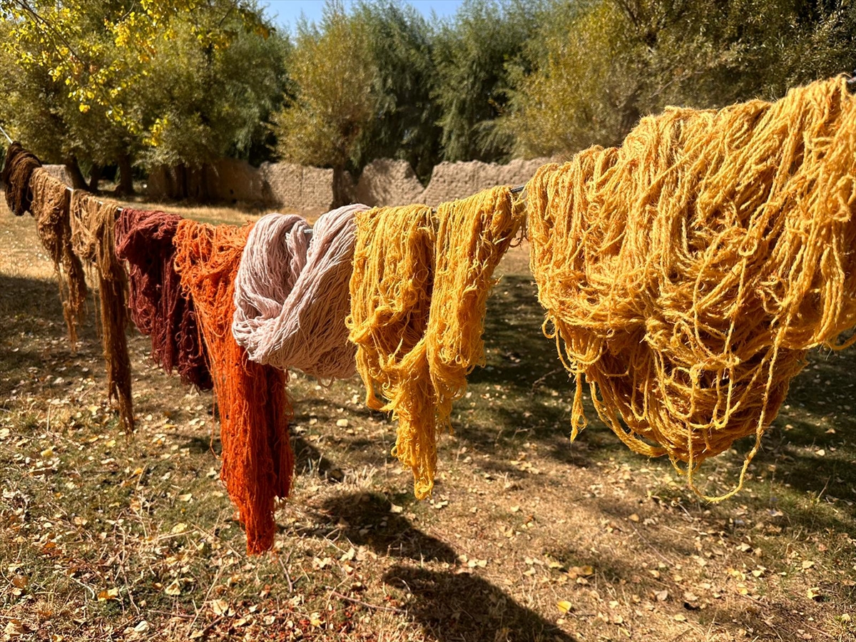 A A 20251102 39591404 39591396 V A N L I K A D I N L A R I P L E R E D O G A D A T O P L A D I K L A R I B I T K I L E R L E R E N K V E R I Y O R