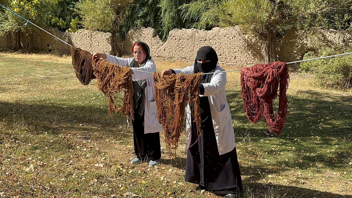 A A 20251102 39591404 39591398 V A N L I K A D I N L A R I P L E R E D O G A D A T O P L A D I K L A R I B I T K I L E R L E R E N K V E R I Y O R