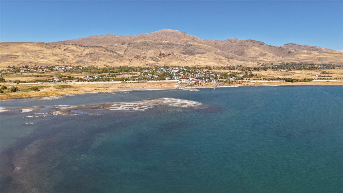 A A 20251103 39599922 39599910 V A N G O L U N U N C E K I L M E S I Y L E A S I R L I K I S K E L E N I N A Y A K L A R I O R T A Y A C I K T I