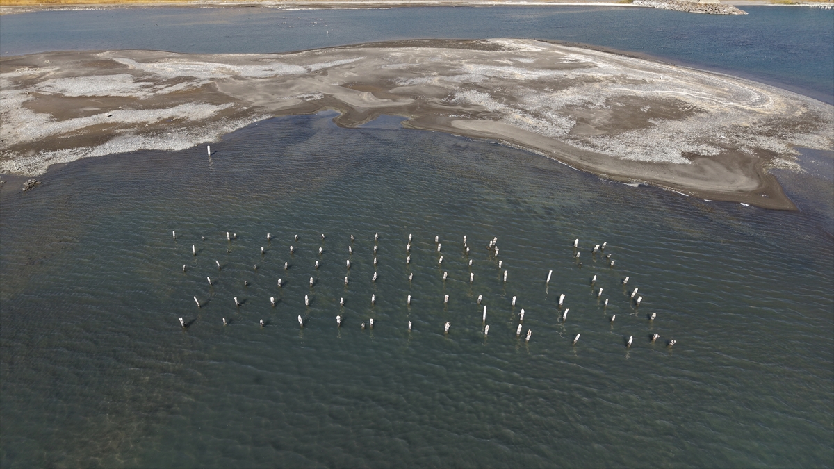 A A 20251103 39599922 39599911 V A N G O L U N U N C E K I L M E S I Y L E A S I R L I K I S K E L E N I N A Y A K L A R I O R T A Y A C I K T I