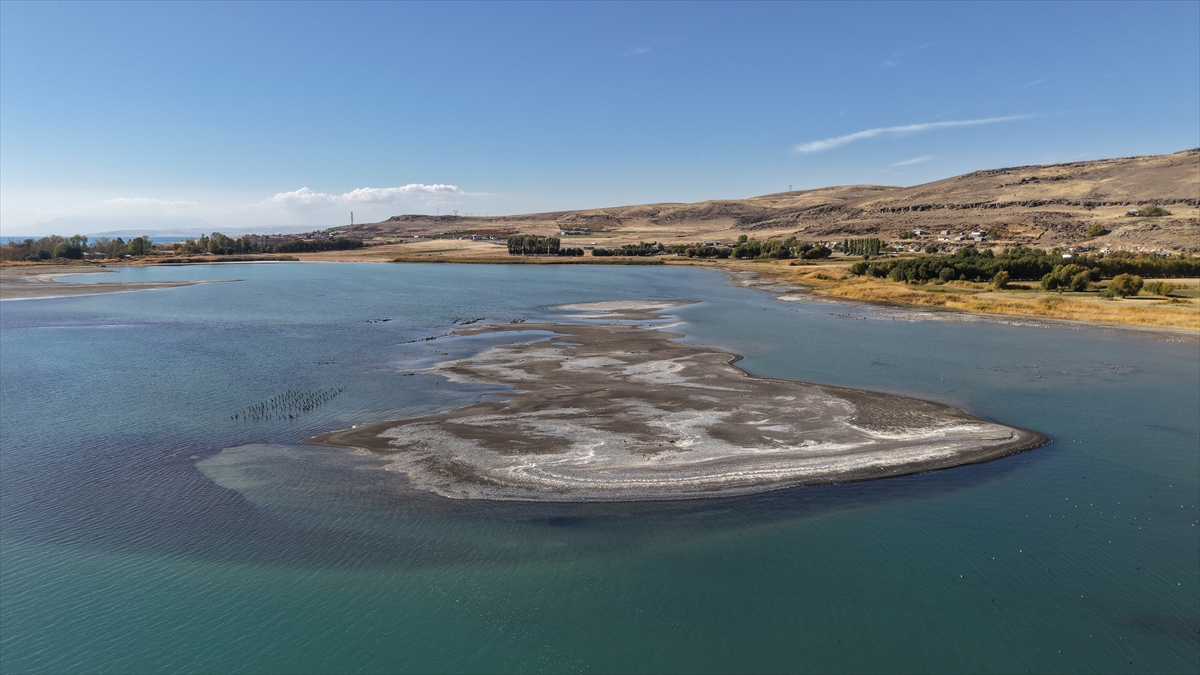 A A 20251103 39599922 39599918 V A N G O L U N U N C E K I L M E S I Y L E A S I R L I K I S K E L E N I N A Y A K L A R I O R T A Y A C I K T I