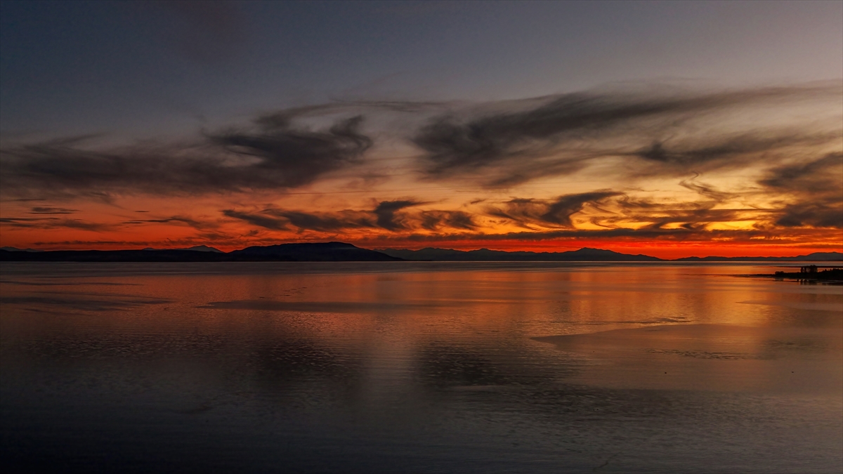 A A 20251104 39607687 39607685 V A N G O L U N D E G U N B A T I M I