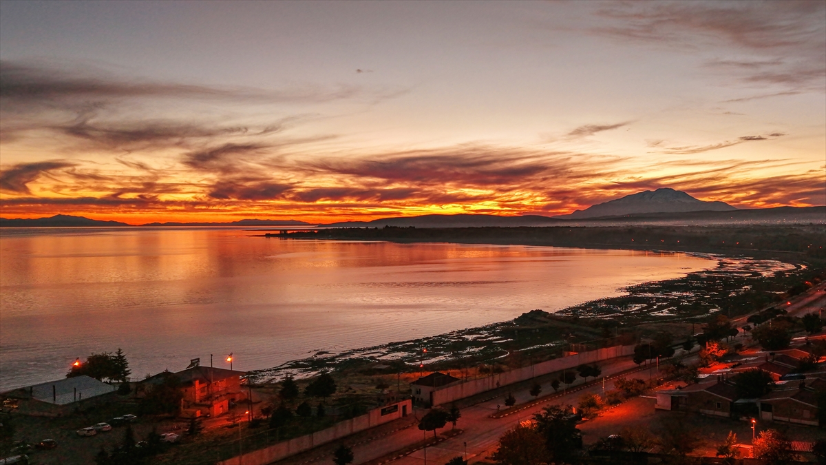 A A 20251104 39607687 39607686 V A N G O L U N D E G U N B A T I M I