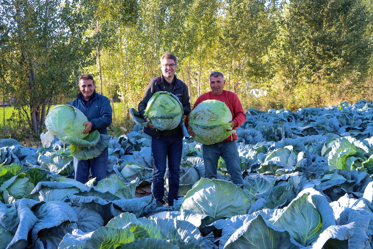 A A 20251109 39658676 39658665 A T A T O H U M U Y L A Y E T I S T I R I L E N E R C I S L A H A N A S I N I N H A S A D I B A S L A D I