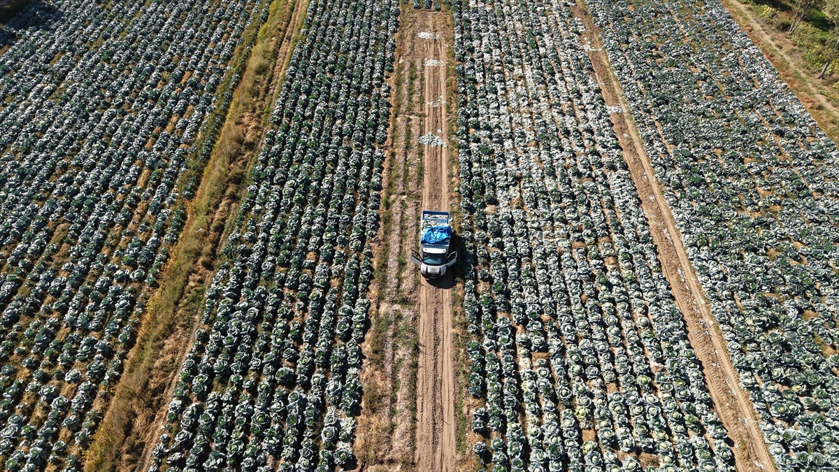 A A 20251109 39658676 39658670 A T A T O H U M U Y L A Y E T I S T I R I L E N E R C I S L A H A N A S I N I N H A S A D I B A S L A D I