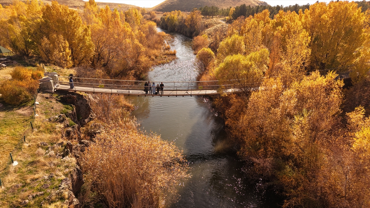 A A 20251111 39676867 39676854 V A N D A K I I N C I K E F A L I T A B I A T P A R K I S O N B A H A R R E N K L E R I N E B U R U N D U