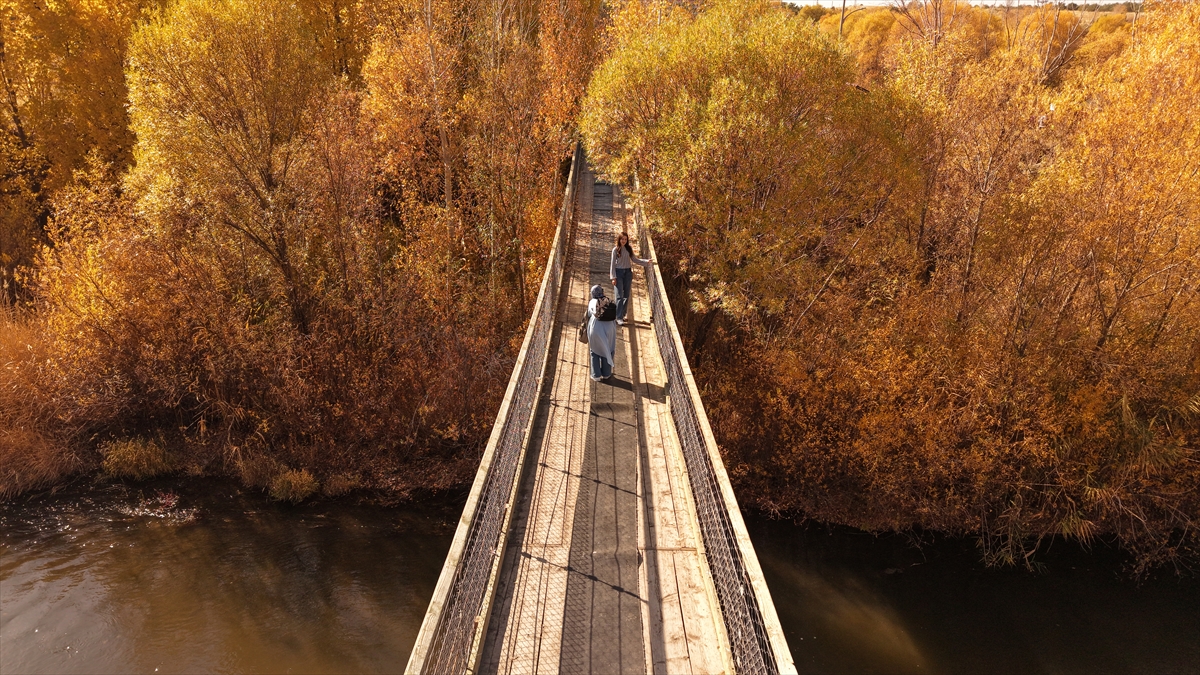 A A 20251111 39676867 39676856 V A N D A K I I N C I K E F A L I T A B I A T P A R K I S O N B A H A R R E N K L E R I N E B U R U N D U