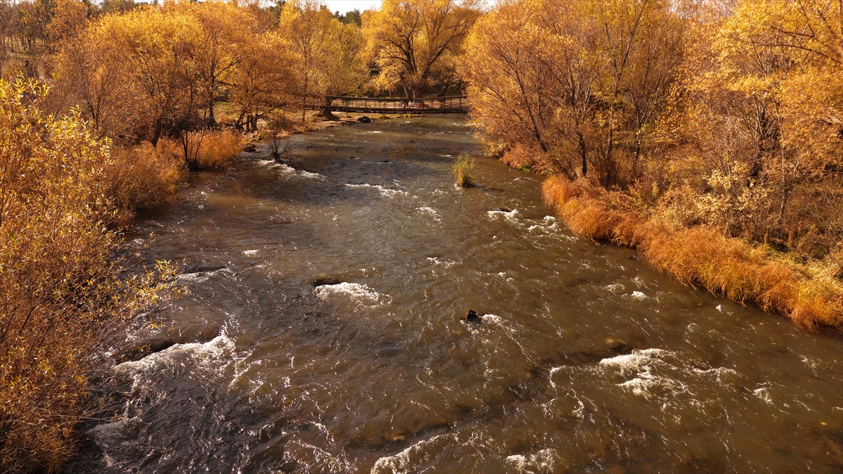 A A 20251111 39676867 39676864 V A N D A K I I N C I K E F A L I T A B I A T P A R K I S O N B A H A R R E N K L E R I N E B U R U N D U