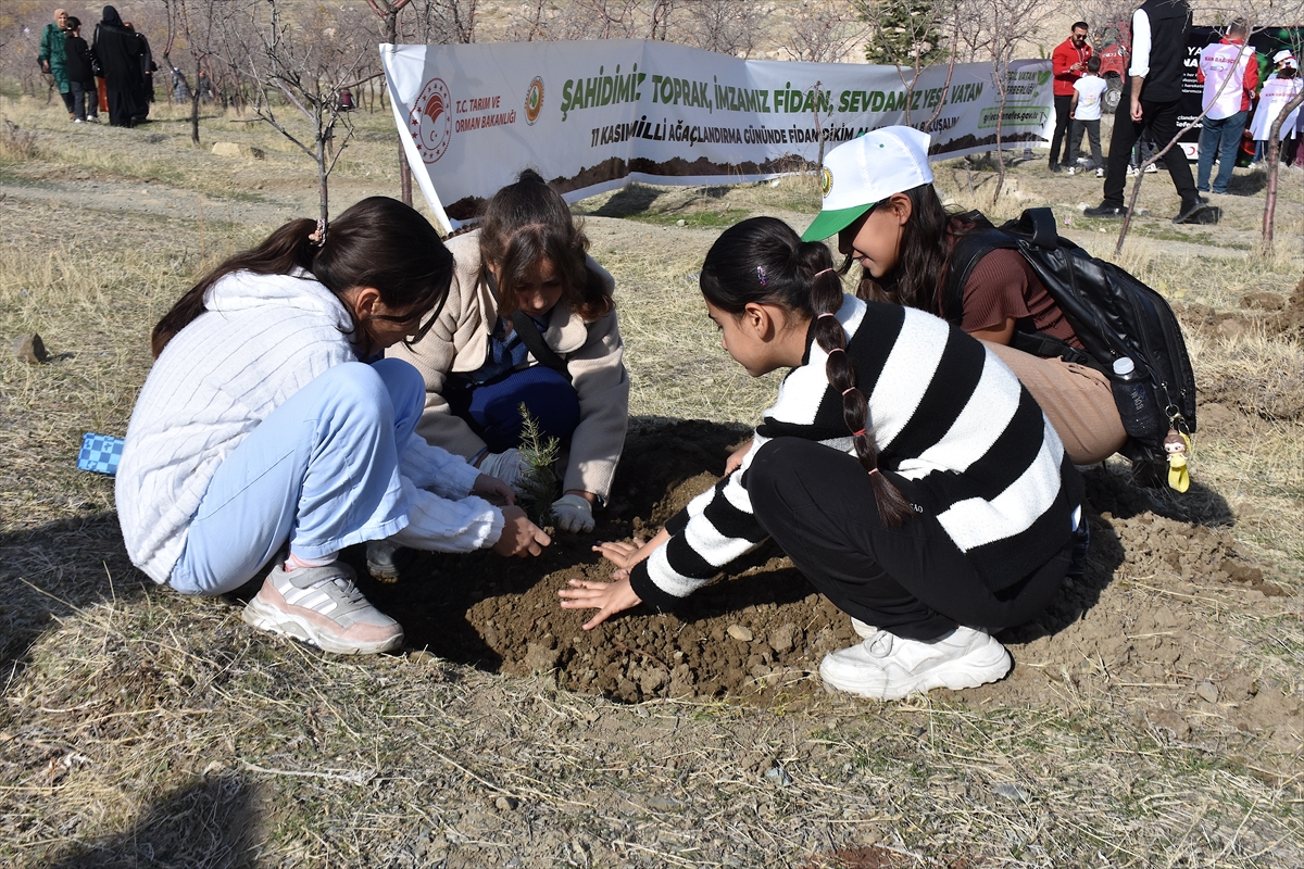 A A 20251111 39680080 39680075 V A N V E C E V R E I L L E R D E B I N L E R C E F I D A N T O P R A K L A B U L U S T U R U L D U