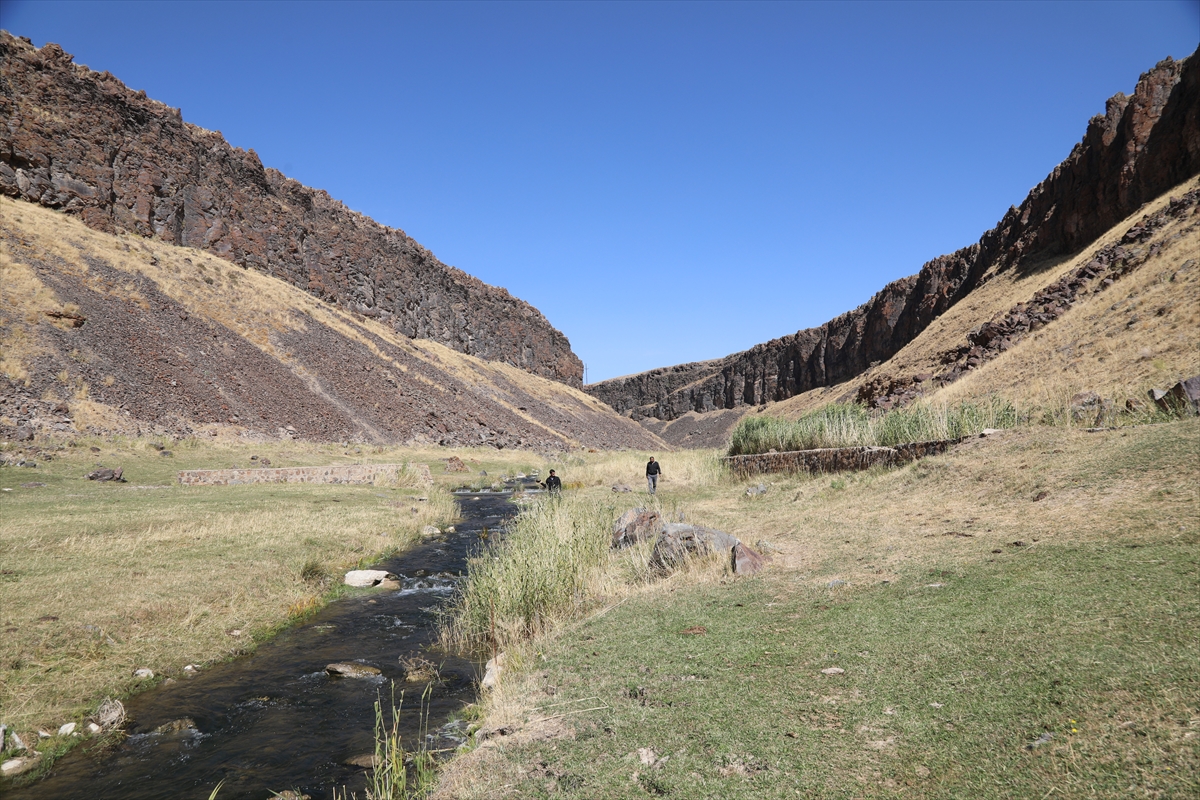 A A 20251118 39737771 39737761 B A S K A L E D E D E G I R M E N K A N Y O N U K E S F E D I L M E Y I B E K L I Y O R