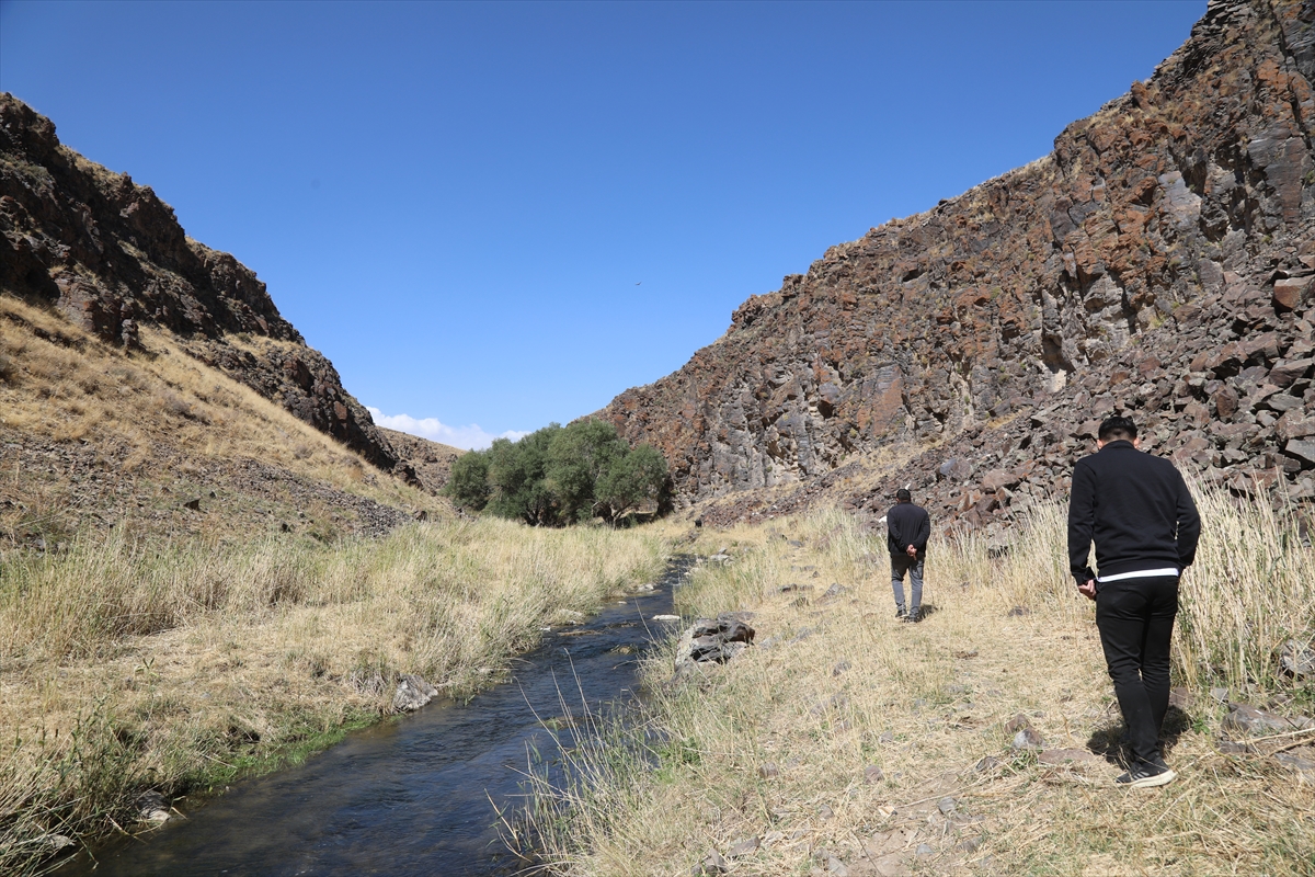 A A 20251118 39737771 39737762 B A S K A L E D E D E G I R M E N K A N Y O N U K E S F E D I L M E Y I B E K L I Y O R