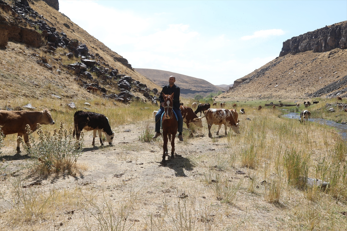 A A 20251118 39737771 39737765 B A S K A L E D E D E G I R M E N K A N Y O N U K E S F E D I L M E Y I B E K L I Y O R