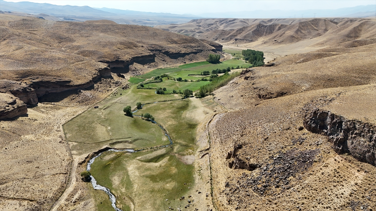 A A 20251118 39737771 39737769 B A S K A L E D E D E G I R M E N K A N Y O N U K E S F E D I L M E Y I B E K L I Y O R