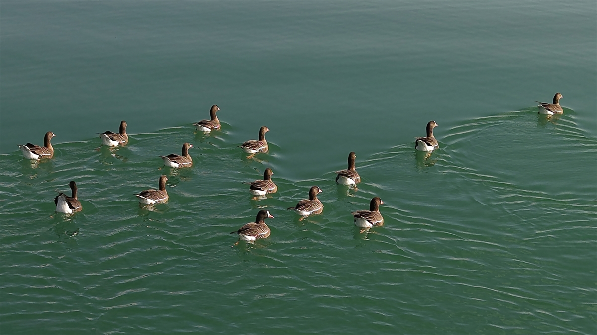 A A 20251119 39745915 39745907 K U S C E N N E T I E R C E K G O L U Y A B A N K A Z L A R I N A E V S A H I P L I G I Y A P I Y O R