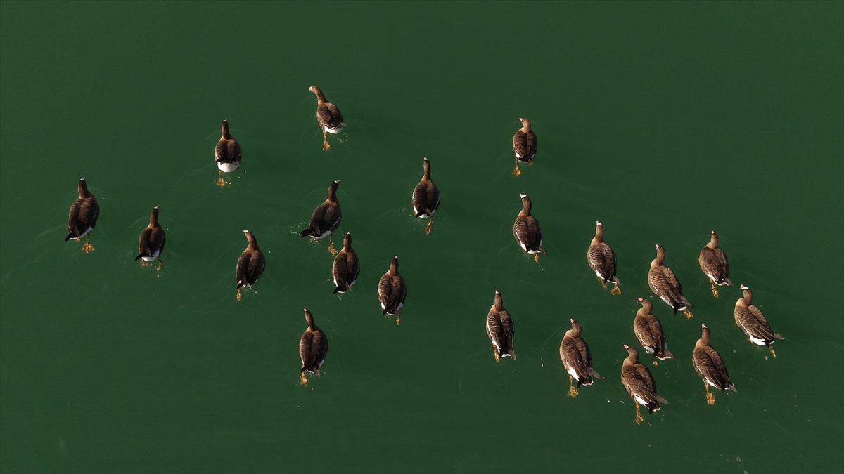 A A 20251119 39745915 39745908 K U S C E N N E T I E R C E K G O L U Y A B A N K A Z L A R I N A E V S A H I P L I G I Y A P I Y O R