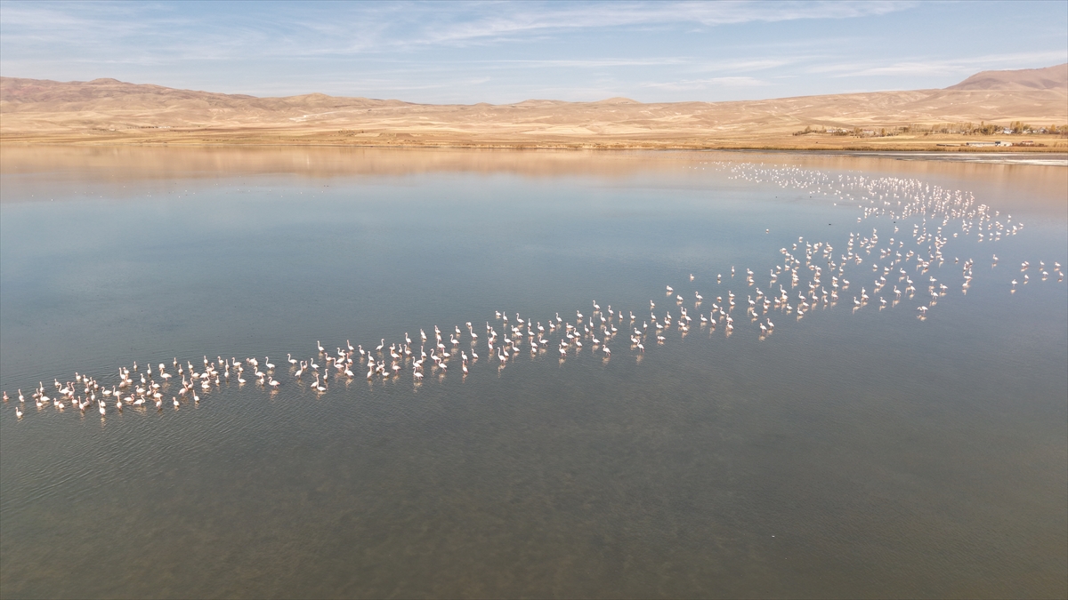 A A 20251119 39745915 39745912 K U S C E N N E T I E R C E K G O L U Y A B A N K A Z L A R I N A E V S A H I P L I G I Y A P I Y O R