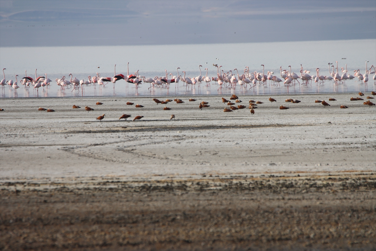 A A 20251119 39745915 39745913 K U S C E N N E T I E R C E K G O L U Y A B A N K A Z L A R I N A E V S A H I P L I G I Y A P I Y O R