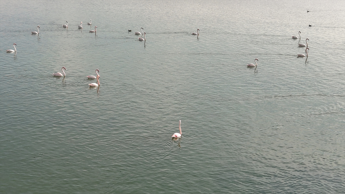 A A 20251119 39745915 39745914 K U S C E N N E T I E R C E K G O L U Y A B A N K A Z L A R I N A E V S A H I P L I G I Y A P I Y O R