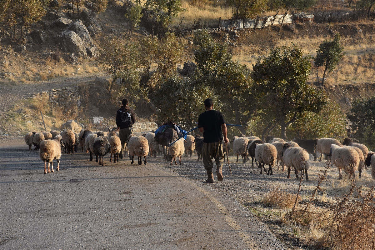 A A 20251119 39747091 39747074 G O C E R L E R I N Y A Y L A L A R D A N K I S L A K L A R A Y O L C U L U G U S U R U Y O R