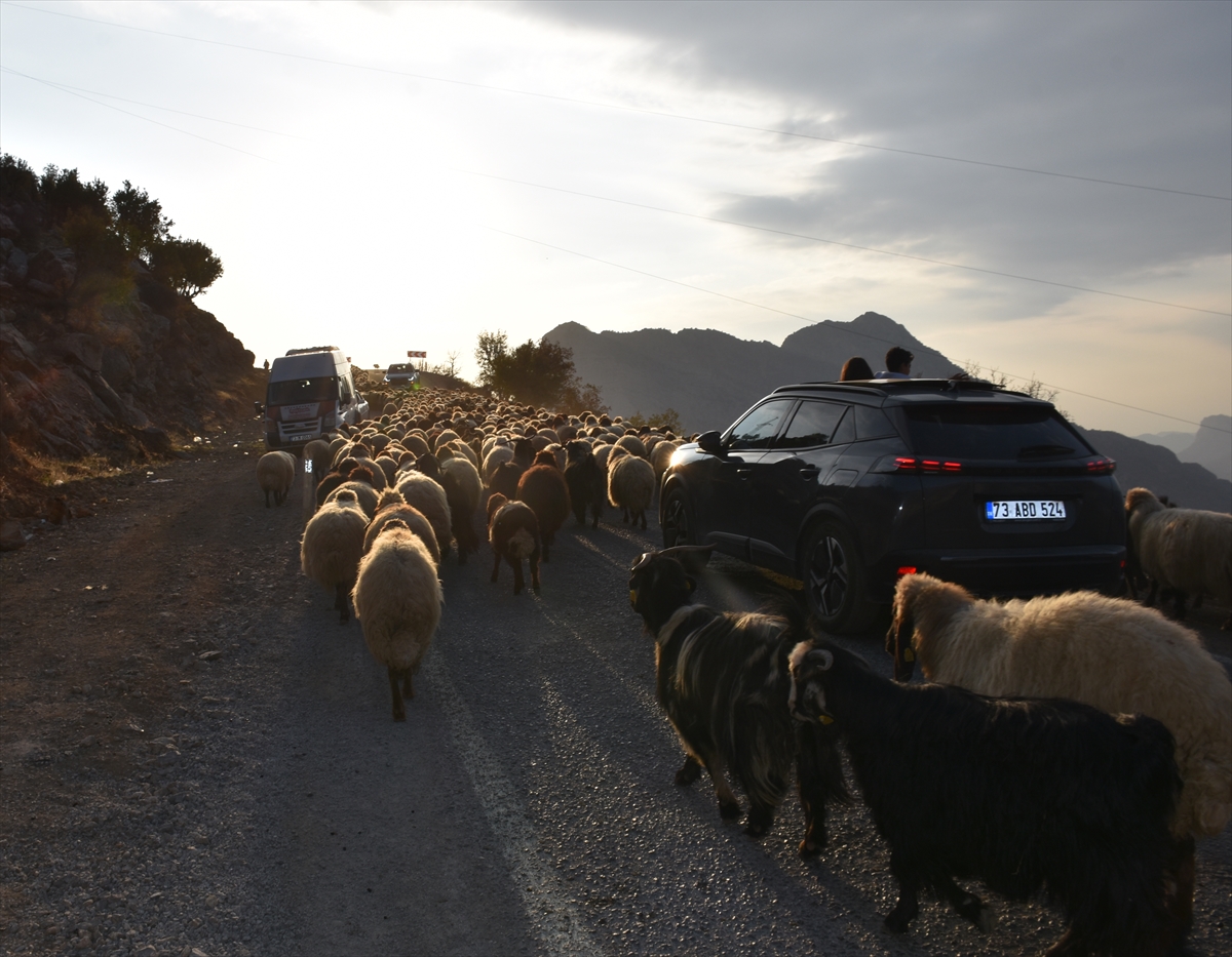 A A 20251119 39747091 39747075 G O C E R L E R I N Y A Y L A L A R D A N K I S L A K L A R A Y O L C U L U G U S U R U Y O R