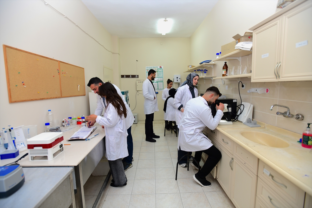 A A 20251126 39810200 39810193 V A N D A A K A D E M I S Y E N L E R D E N S U K A Y N A K L A R I N I N E T K I N K U L L A N I L M A S I S A G L A Y A C A K O T O M A T I K S U L A M A S I S T E M I P R O J E S I