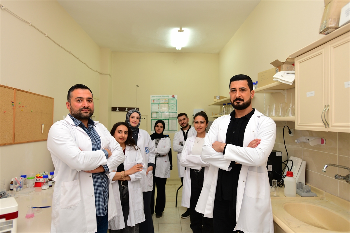 A A 20251126 39810200 39810199 V A N D A A K A D E M I S Y E N L E R D E N S U K A Y N A K L A R I N I N E T K I N K U L L A N I L M A S I S A G L A Y A C A K O T O M A T I K S U L A M A S I S T E M I P R O J E S I