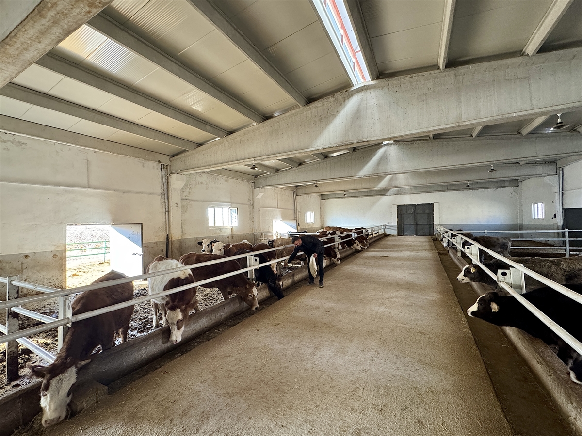 A A 20251127 39818941 39818935 B A B A M E S L E G I B E S I C I L I G I D E V L E T D E S T E G I Y L E M O D E R N T E S I S E T A S I D I