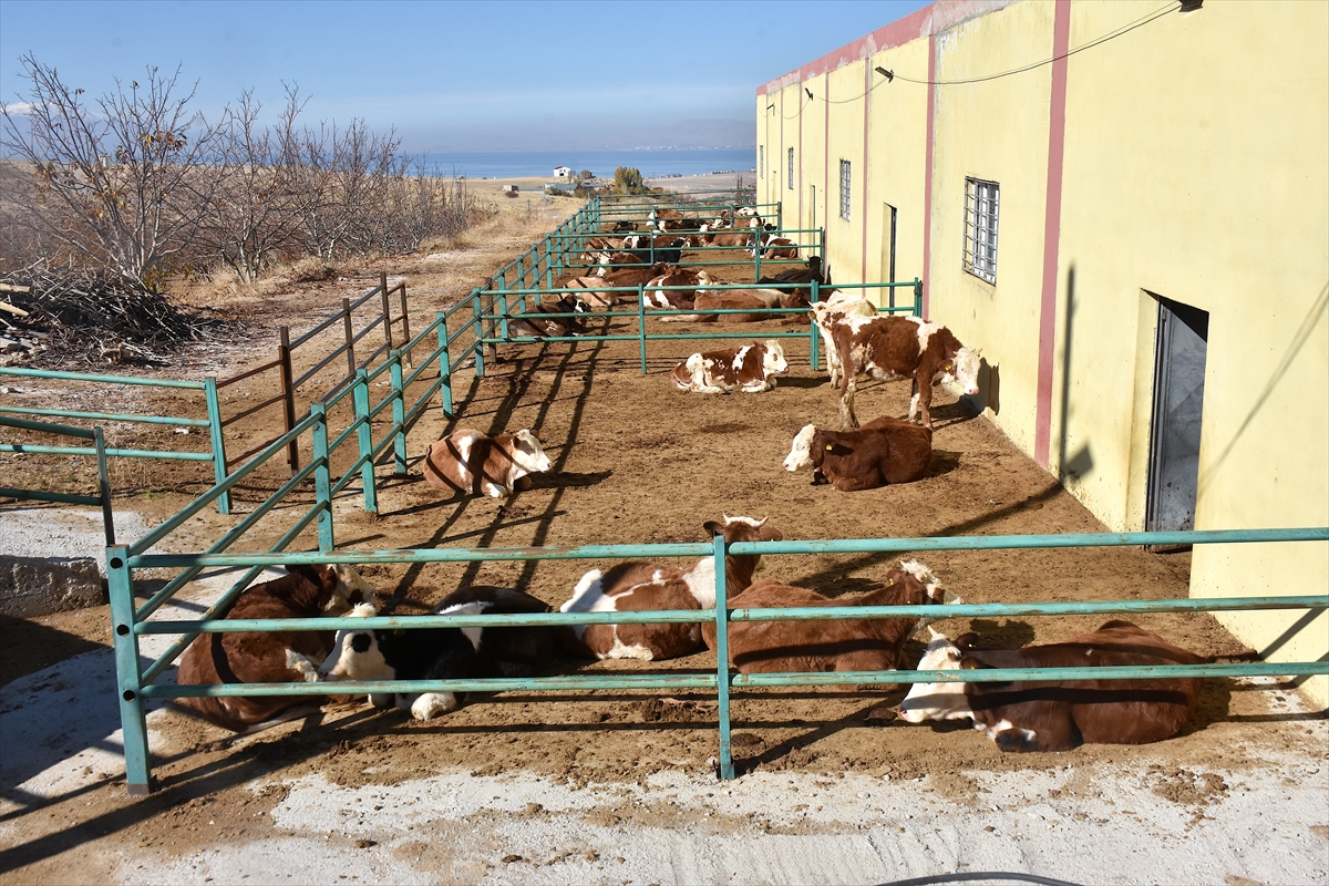 A A 20251127 39818941 39818937 B A B A M E S L E G I B E S I C I L I G I D E V L E T D E S T E G I Y L E M O D E R N T E S I S E T A S I D I