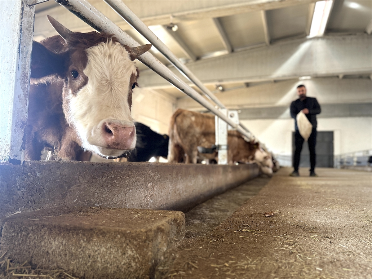 A A 20251127 39818941 39818938 B A B A M E S L E G I B E S I C I L I G I D E V L E T D E S T E G I Y L E M O D E R N T E S I S E T A S I D I