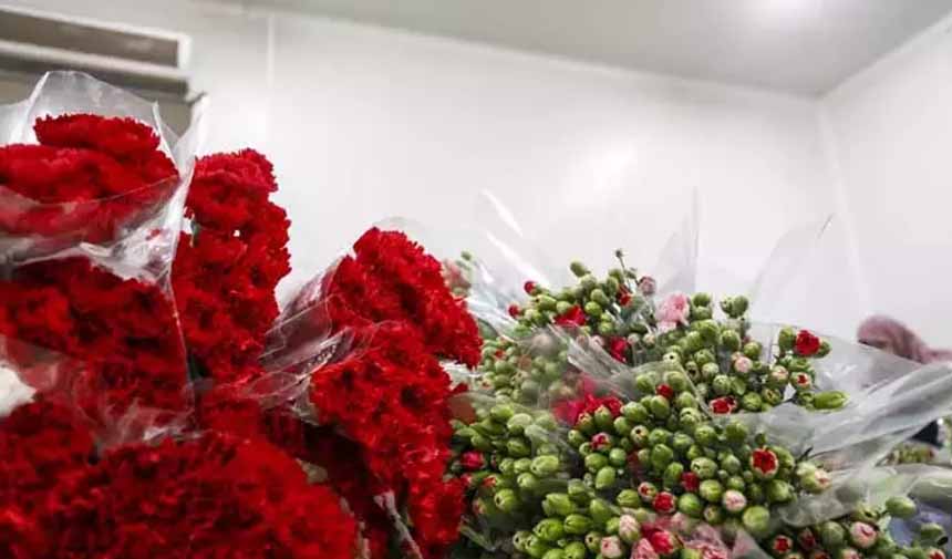 Çiçek Sektörü.jpg3