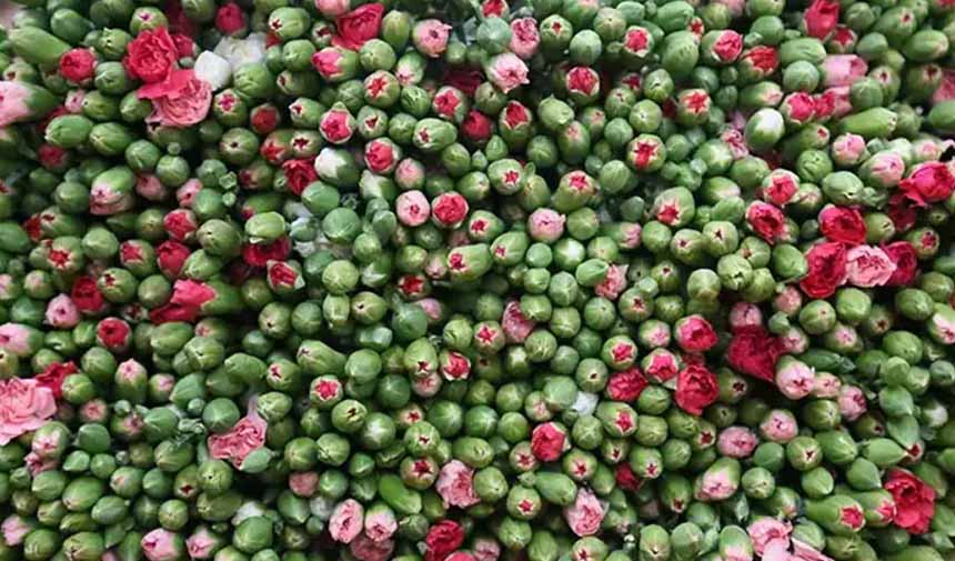 Çiçek Sektörü.jpg4