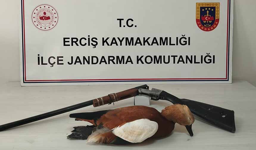 Kaçak Avcılık.jpg8