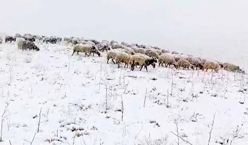 Kar Yağışı.jpg1-8