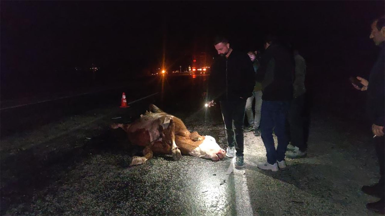 Vanda Iki Arac Inege Carpti 3