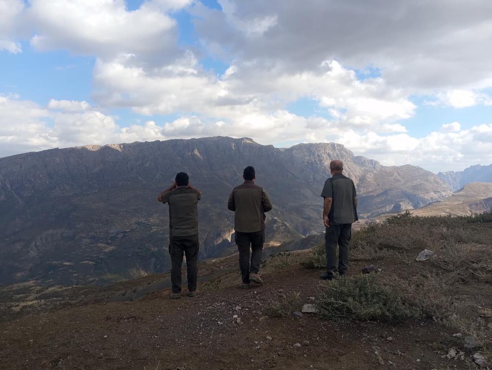 Vanda Kafes Avciligi 2