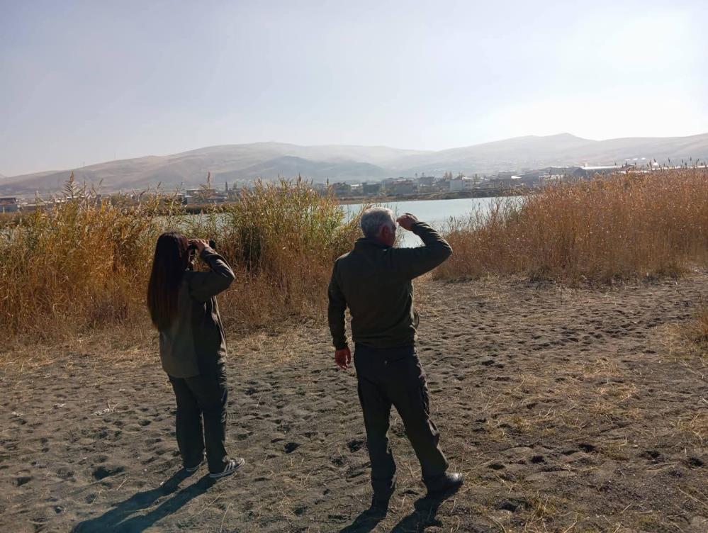 Vanda Kafes Avciligi 3