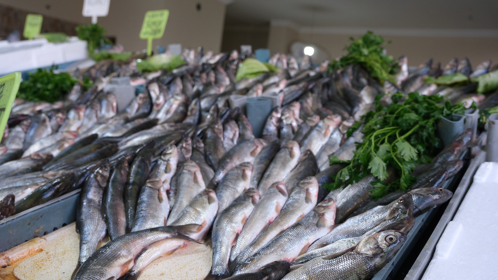 Whatsapp Image 2025 11 04 At 12.35.57 (3)