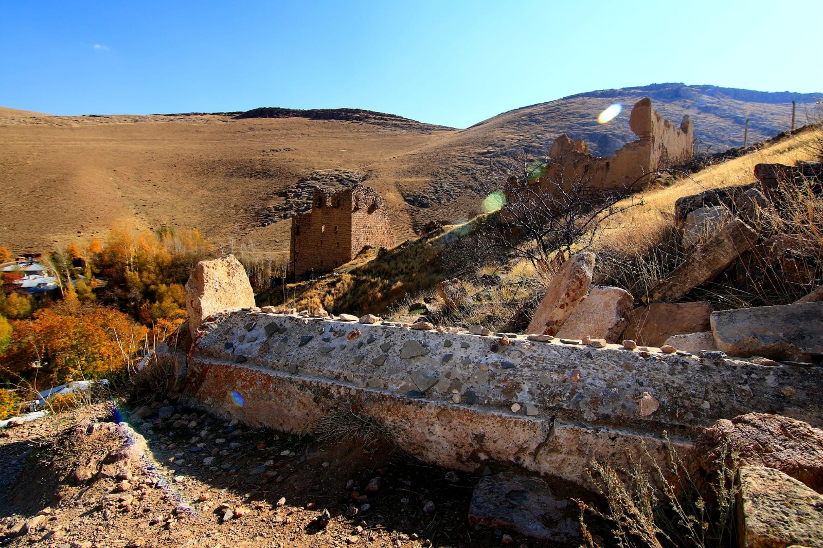 Whatsapp Image 2025 11 10 At 13.14.09